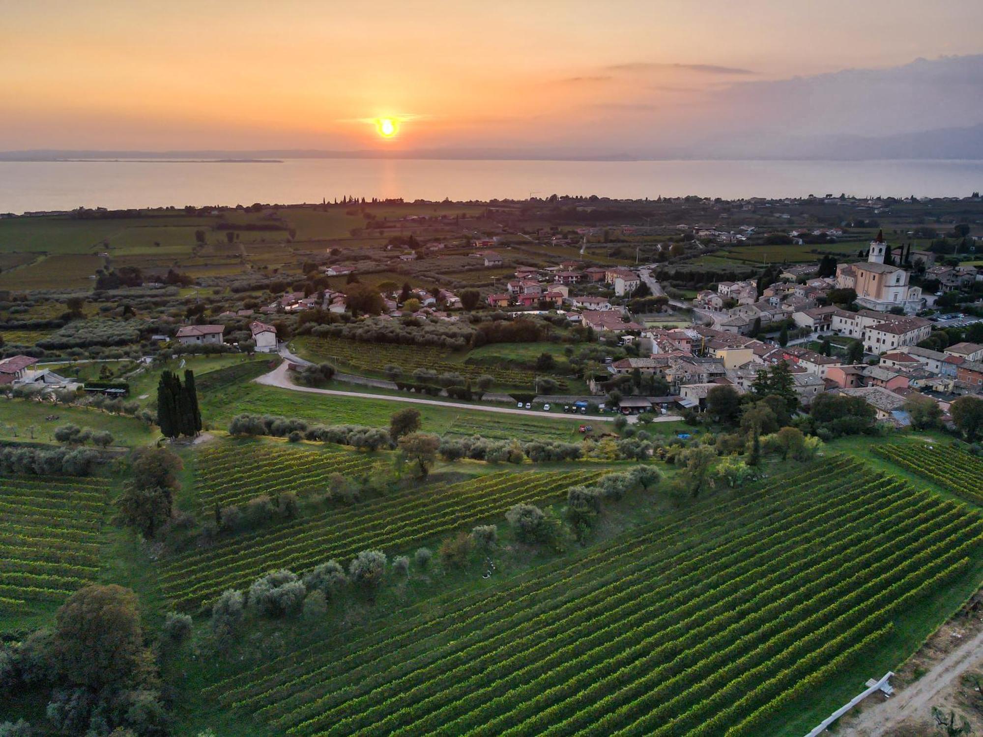 Villa Calicantus Bardolino Zewnętrze zdjęcie
